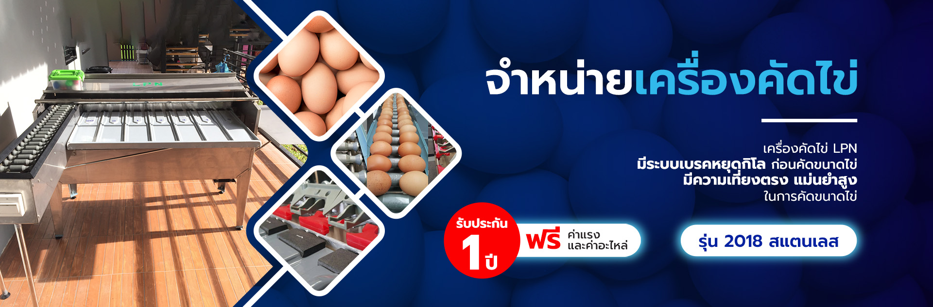 เครื่องคัดไข่,เครื่องคัดไข่ LPN